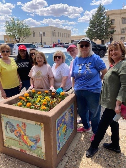 marigolds planting 2